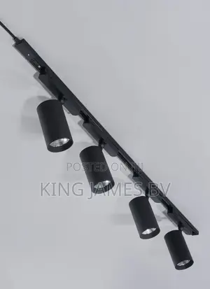 4 in 1 Track Light