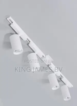 White 4 in 1 Track Light