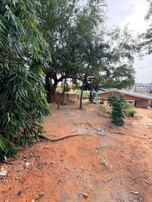 A Demolished Structure Sitting a Plot
