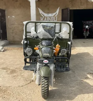 Tricycle 2026 Gray