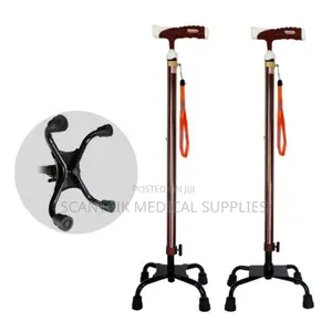 Standard Lightweight 4-Foot Walking Stick