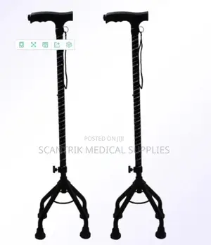 Portable Durable 4-Foot Walking Stick for Everyday Use