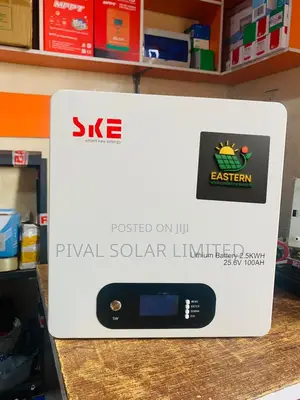 2.5kwh 24volst Ske Product Lithium Iron Battery