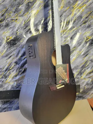 Black Strinberg Semi Acoustic Guitar