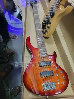 Strinberg 5 Strings Active Guitar