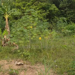 Joint Venture Land Available at Ikate