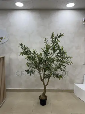 180cm Artificial Wide Olive Tree – Modern Home Décor in Nigeria