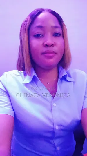 Accountant