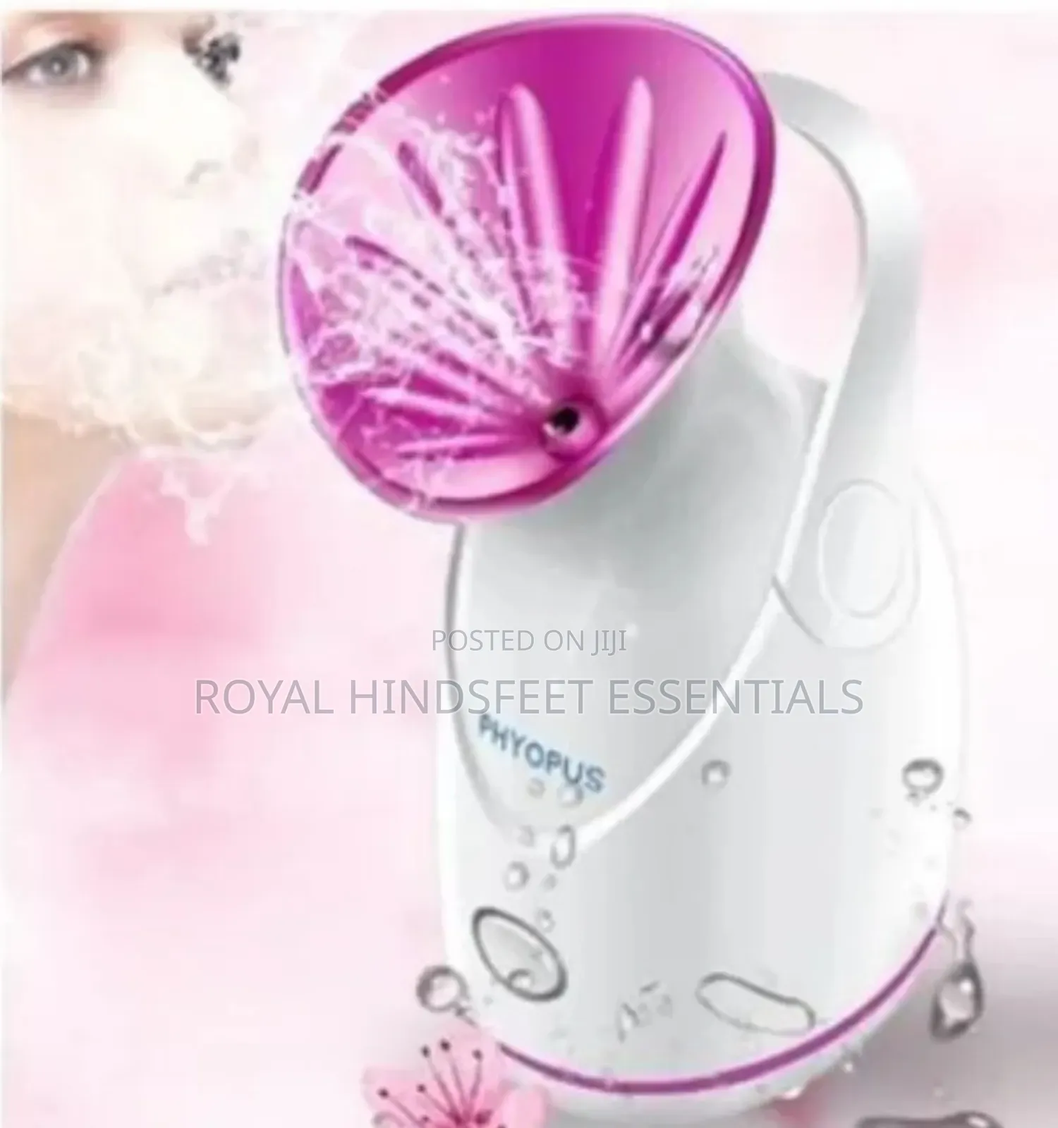 Nano Face Steamer