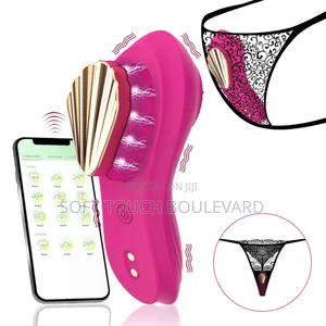 Remote Control Panties Vibrator Wireless Rechargeable