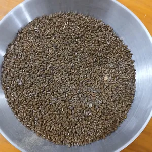 Cassia Seed 100g
