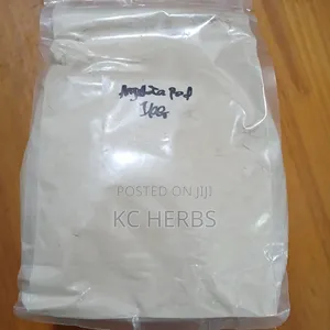 Angelica Root Powder 100g