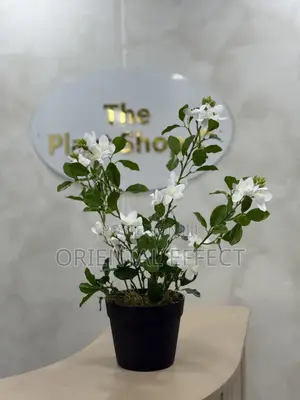 55cm Artificial Mini Gardenia – Realistic Faux Indoor Plant Decor