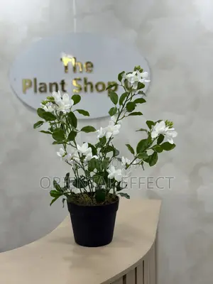 55cm Artificial Mini Gardenia – Realistic Faux Indoor Plant Decor
