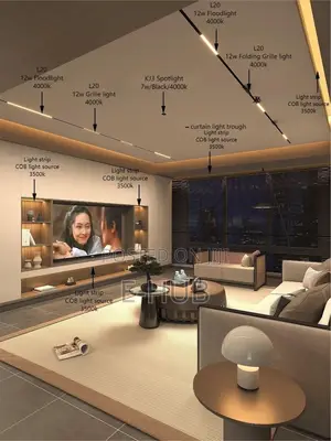 Living Room Light