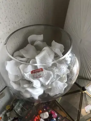 10 Litres Empty Fishbowl-Kit