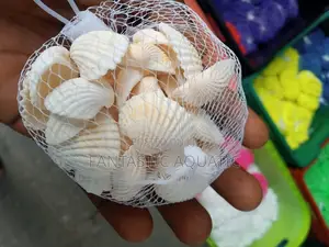 Aquarium Pebbles Decoration