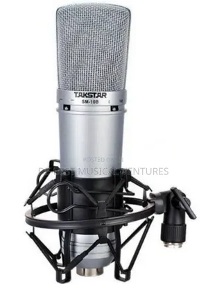 Takstar Sm-10b Dynamic Microphone