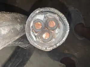 95mm 3core Xlpe Armored Cables and Wires
