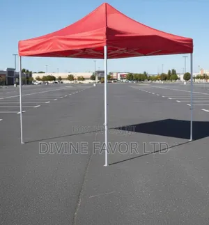 Original Pole Imported Canopy (10*10 Feet)