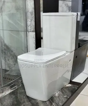 White One-Piece Ceramic Toilet With Rimless Design a Soft-Close Seat