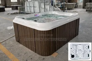 Lifesmart Ls100 Plus 4-Person 20-Jet Plug and Play Spa Hot Bathtub