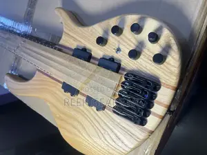 Neutral Strinberg Double Battery 5 Strings Active Bass Guitar