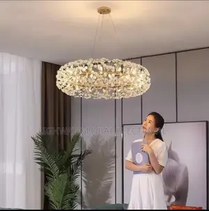 Led Crystal Bid Chandelier