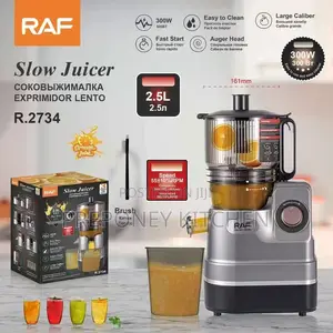 Raf Slow Juicer