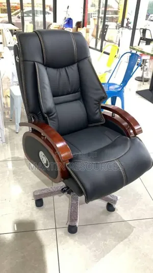 Padded Executive Office Chair
