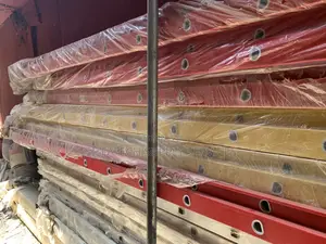 Construction Ladder
