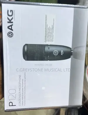 Akg P120 Studio Mic