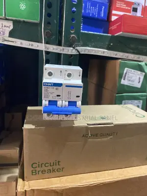 125a 2 Pole Dc Breaker – Original, Strong Reliable for You