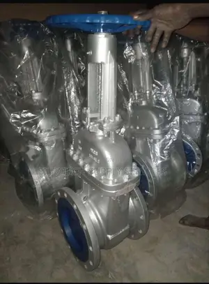 Heavy Duty Gate Valve