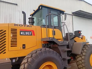 Pay Loader for Sale