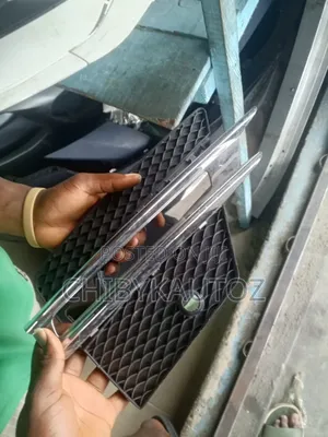 Fog Light Net With Chrome Ml166 2015
