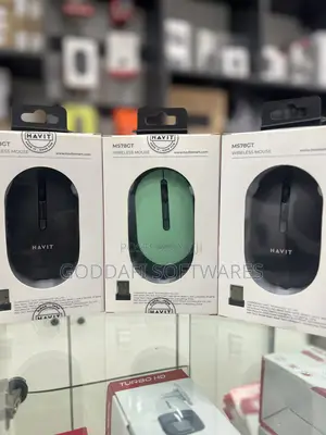 Havit Ms78gt Wireless Mouse 10m Range | Goddafi Stores