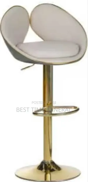Luxury Adjustable Bar Stools