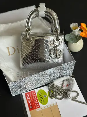 Luxury Lady Dior Mini Bag  Colors: Black, Silver Grade A