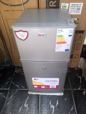 Lg Refrigerator Fridges 141 Model 2 Doors