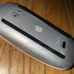 Apple Magic Mouse - Black Multi