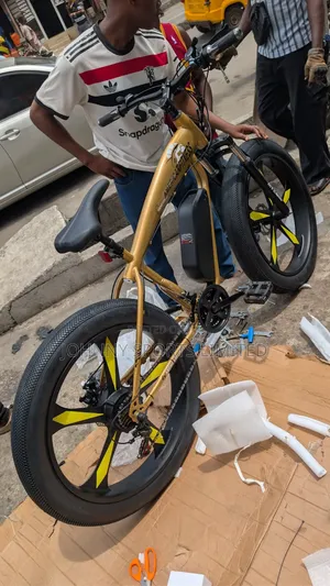 American Fitness Electric Bike
