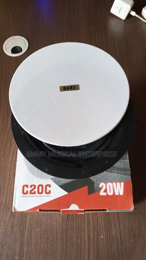 Passive Frameless Ceiling Speaker for Pop Very Massive and Quality