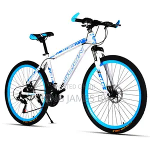 Adult Bicycle