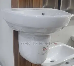 Wall Hung Basin and Pedestal