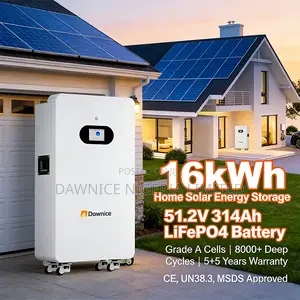 Dawnice 16kwh 51.2v 314ah Battery Max Parallel 16 Units