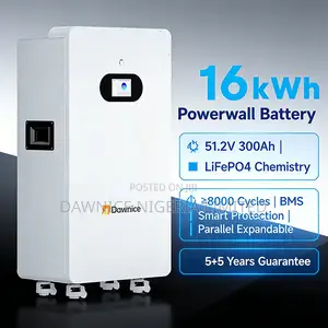 Dawnice 16kwh 51.2v 314ah Lifepo4: Power for Deep Freezers