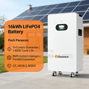Dawnice 16kwh 51.2v 314ah LFP - High Discharge Current