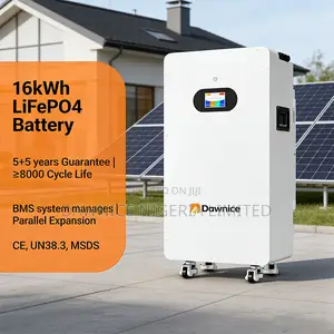 16kwh Dawnice 51.2v 314ah Wall Battery: Premium Home Backup