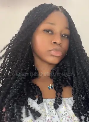 Glueless Styled Braided Wig